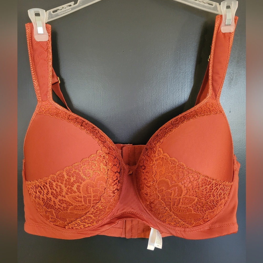 38D Butterfly Bras by Ashley Stewart in royal blue & burnt orange